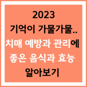 치매 예방과 관리