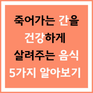간을 살려주는 음식